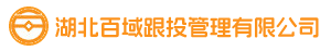 湖北百域AI量化管理有限公司